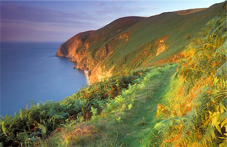 exmoor - Countisbury Hill, Exmoor National Park, Devon, England, United Kingdom, Europe Stock Photo - Rights-Managed, Code: 841-06034143