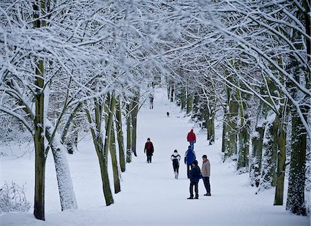 Hampstead Heath in winter, North London, England, United Kingdom, Europe Stock Photo - Rights-Managed, Code: 841-06034150
