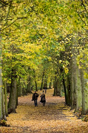 Hampstead Heath, au nord de Londres, Angleterre, Royaume-Uni, Europe Photographie de stock - Rights-Managed, Code: 841-06034167