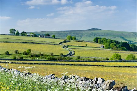 simsearch:841-06030335,k - Peak District, Angleterre, Royaume-Uni, Europe Photographie de stock - Rights-Managed, Code: 841-06034179