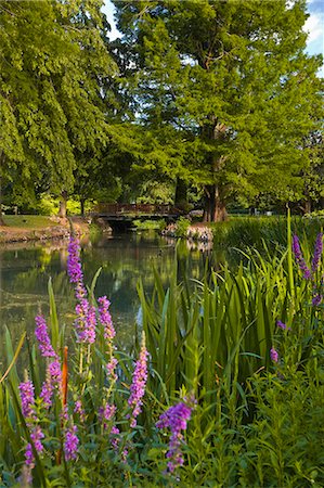 simsearch:841-08240052,k - The Jardins des Prebendes d'Oe, Tours, Indre et Loire, Centre, France, Europe Foto de stock - Con derechos protegidos, Código: 841-06034291