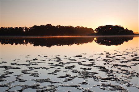 Un étang (étang) dans le parc naturel de La Brenne (Pays aux Mille Etangs) (pays d'un mille lacs), Indre, vallée de la Loire, Centre, France, Europe Photographie de stock - Rights-Managed, Code: 841-06034304