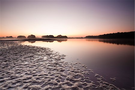 Un étang (étang) dans le parc naturel de La Brenne (Pays aux Mille Etangs) (pays d'un mille lacs), Indre, vallée de la Loire, Centre, France, Europe Photographie de stock - Rights-Managed, Code: 841-06034303