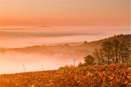 france autumn - The vineyards of Sancerre during a heavy autumn mist, Cher, Centre, France, Europe Stock Photo - Rights-Managed, Code: 841-06034328