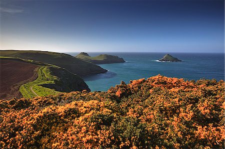 Le croupions, Cornwall, Angleterre, Royaume-Uni, Europe Photographie de stock - Rights-Managed, Code: 841-06034342