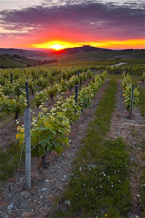 red horizon - Vineyards, Sancerre, Cher, Loire Valley, Centre, France, Europe Stock Photo - Rights-Managed, Code: 841-06034357