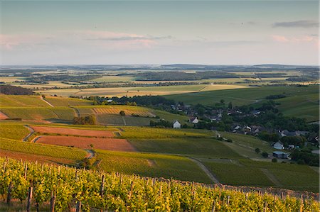 farm fields from above - Bue, Sancerre, Cher, Loire Valley, Centre, France, Europe Stock Photo - Rights-Managed, Code: 841-06034363