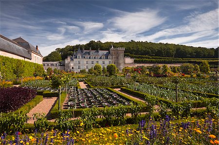 Château de Villandry, patrimoine mondial de l'UNESCO, Villandry, Indre-et-Loire, vallée de la Loire, France, Europe Photographie de stock - Rights-Managed, Code: 841-06034378