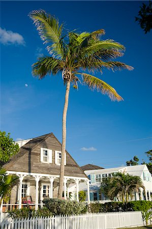 dunmore - A palm tree growing over a colonial style house in Dunmore Town, Harbour Island, The Bahamas, West Indies, Caribbean, Central America Stock Photo - Rights-Managed, Code: 841-06030291