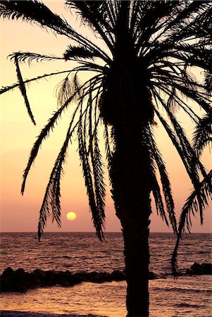 simsearch:841-02709621,k - Lever du soleil près de Sidi Slim, île de Djerba, en Tunisie, l'Afrique du Nord, Afrique Photographie de stock - Rights-Managed, Code: 841-06030531