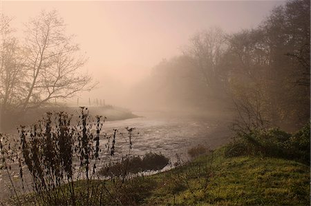 emerging - Misty morning, Exe Valley, Devon, England, United Kingdom, Europe Stock Photo - Rights-Managed, Code: 841-06030578