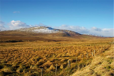 perthshire - Ben Clach, near Crieff, Perthshire, Scotland, United Kingdom, Europe Stock Photo - Rights-Managed, Code: 841-06030580