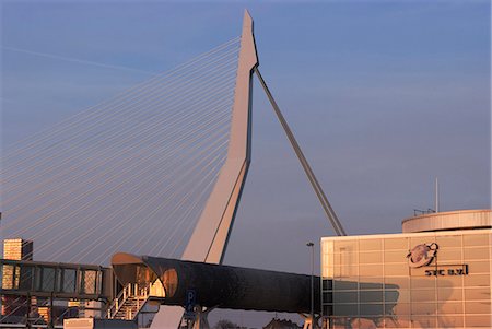 erasmus bridge - L'emblématique pont Erasmus, un des monuments de la ville, sur la rivière Maas, Rotterdam, Pays-Bas, Europe Photographie de stock - Rights-Managed, Code: 841-06030738