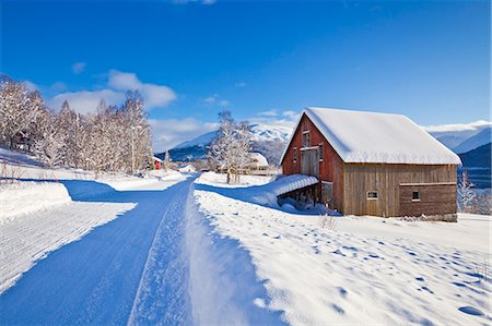 Snow covered road, barn and chalets in Norwegian village of Laukslett, Troms, North Norway, Scandinavia, Europe Foto de stock - Con derechos protegidos, Código: 841-06030764