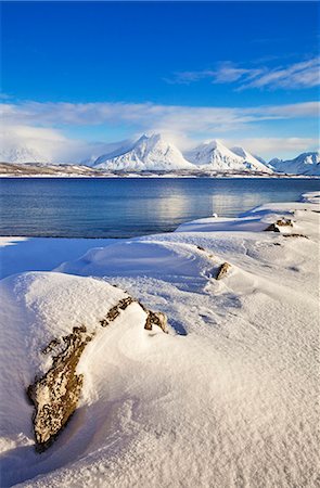 snow and blue - Breivikeidet, looking across Ullsfjord, towards the Southern Lyngen Alps, Troms, Norway, Scandinavia, Europe Stock Photo - Rights-Managed, Code: 841-06030765