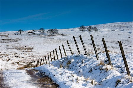 Track onto the fell in winter, Lower Pennines, Cumbria, England, United Kingdom, Europe Stock Photo - Rights-Managed, Code: 841-06030905