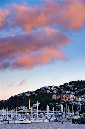 Wellington, North Island, New Zealand, Pacific Stock Photo - Rights-Managed, Code: 841-06030975