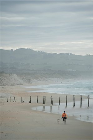 Otago Harbour, St. Clair, Otago, Südinsel, Neuseeland, Pazifik Stockbilder - Lizenzpflichtiges, Bildnummer: 841-06030988