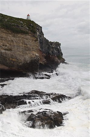 Royal Albatros Centre, Dunedin, péninsule d'Otago, île du Sud, Nouvelle-Zélande, Pacifique Photographie de stock - Rights-Managed, Code: 841-06030998