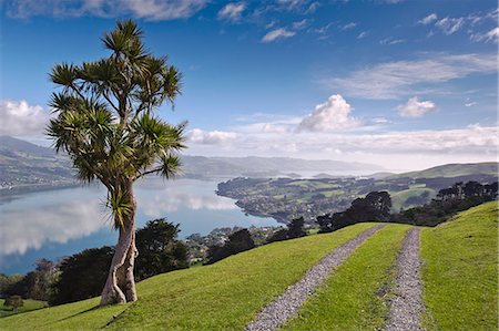 pacific islands - Otago Harbour, Otago Peninsula, Otago, South Island, New Zealand, Pacific Stock Photo - Rights-Managed, Code: 841-06030992