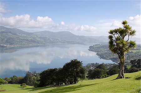 pacific islands - Otago Harbour, Otago Peninsula, Otago, South Island, New Zealand, Pacific Stock Photo - Rights-Managed, Code: 841-06030993