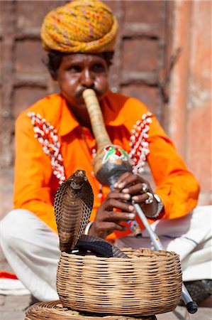 snake - Cobra snake charmer outside the City Palace, Jaipur, Rajasthan, India, Asia Stock Photo - Rights-Managed, Code: 841-06031266