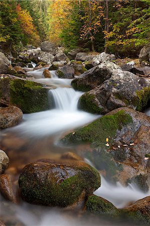 stream - Flux de Rocky mountain à travers bois automne, Tatras, Slovaquie, Europe Photographie de stock - Rights-Managed, Code: 841-06031538