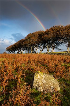 Arc-en-ciel au-dessus de Prewley Moor, Dartmoor, Devon, Angleterre, Royaume-Uni, Europe Photographie de stock - Rights-Managed, Code: 841-06031542