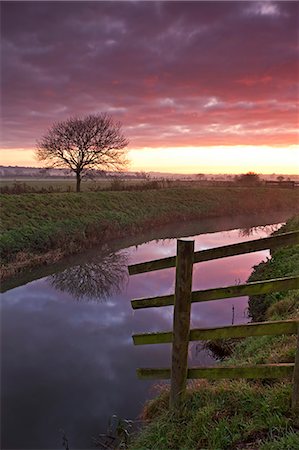 sunlight river - Somerset Levels sunrise over the River Brue near Glastonbury, Somerset, England, United Kingdom, Europe Stock Photo - Rights-Managed, Code: 841-06031572