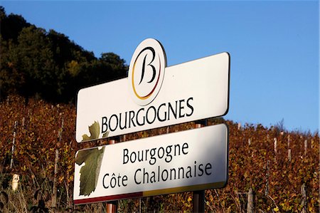 Signe du vignoble bourguignon, Culles-les-Roches, Saône-et-Loire, Bourgogne, France, Europe Photographie de stock - Rights-Managed, Code: 841-06032181