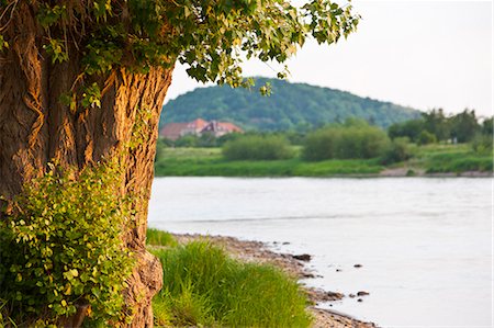 saxony - The mighty River Elbe, Saxony, Germany, Europe Foto de stock - Con derechos protegidos, Código: 841-06032530