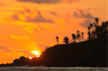 Sunset and palm trees on the western point of the south coast surf beach at Mirissa, near Matara, Southern Province, Sri Lanka, Asia Foto de stock - Con derechos protegidos, Código: 841-06032751