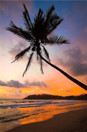 surf (waves hitting shoreline) - Sunset and palm tree and the western point of the south coast surf beach at Mirissa, near Matara, Southern Province, Sri Lanka, Asia Foto de stock - Con derechos protegidos, Código: 841-06032760