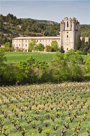 simsearch:841-06031902,k - View of the Abbey of Sainte-Marie d'Orbieu, Lagrasse, across vineyards in Languedoc-Roussillon, France, Europe Stock Photo - Rights-Managed, Code: 841-06032805