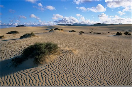 simsearch:400-06083487,k - Sand dunes, near Corralejo, Fuerteventura, Canary Islands, Spain, Atlantic, Europe Foto de stock - Con derechos protegidos, Código: 841-06033347