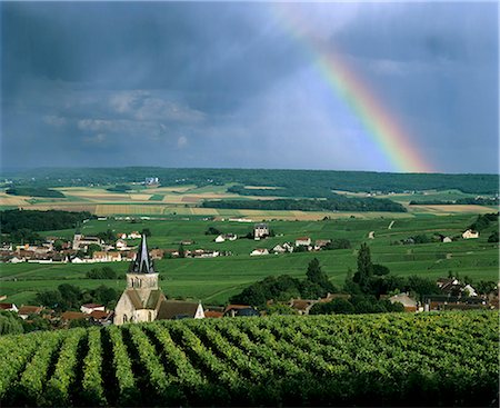 Champagne vineyards and rainbow, Ville-Dommange, near Reims, Champagne, France, Europe Stock Photo - Rights-Managed, Code: 841-06033452