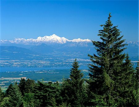 fir trees - Mont Blanc range viewed from Col de la Faucille, near Gex, Rhone Alpes, France, Europe Foto de stock - Con derechos protegidos, Código: 841-06033496