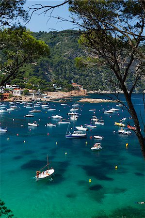 View over bay, Aiguablava, near Begur, Costa Brava, Catalonia, Spain, Mediterranean, Europe Foto de stock - Con derechos protegidos, Código: 841-06033696