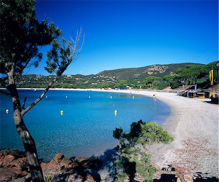 Palombaggia Beach, near Porto Vecchio, South East Corsica, Corsica, France, Mediterranean, Europe Stock Photo - Rights-Managed, Code: 841-06033740