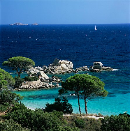 palombaggia - Plage de Palombaggia, près de Porto Vecchio, Corse orientale du Sud, Corse, Méditerranée, Europe Photographie de stock - Rights-Managed, Code: 841-06033741