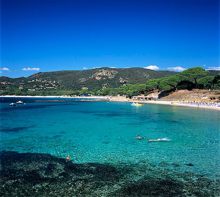 palombaggia - Plage de Palombaggia, près de Porto Vecchio, Corse orientale du Sud, Corse, Méditerranée, Europe Photographie de stock - Rights-Managed, Code: 841-06033743