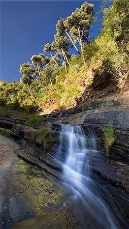 rocky waterfall - Water flows down the forested slopes of Mount Nyiru, Northern Frontier, Kenya, East Africa, Africa Stock Photo - Rights-Managed, Code: 841-06033813