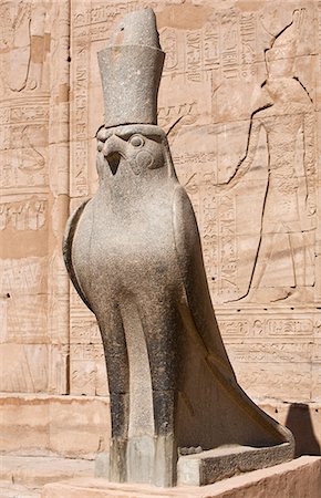 falcone - Granite falcon figure of the god Horus at Edfu temple, Egypt, North Africa, Africa Fotografie stock - Rights-Managed, Codice: 841-06033872