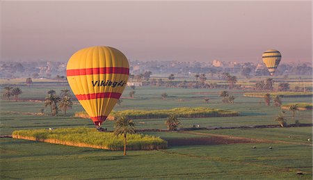 Hot air balloons landing in the fields by Luxor's Theban Necropolis, Thebes, Egypt, North Africa, Africa Stock Photo - Rights-Managed, Code: 841-06033885