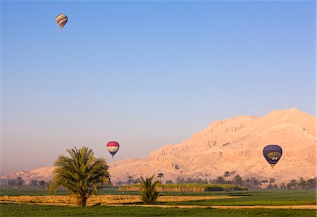 Hot air balloons suspended over green fields and palm trees near Luxor, Thebes, Egypt, North Africa, Africa Stock Photo - Rights-Managed, Code: 841-06033888