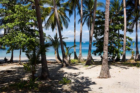 panama - A remote, palm covered island in Chirique Province, Panama, Central America Foto de stock - Con derechos protegidos, Código: 841-06033905