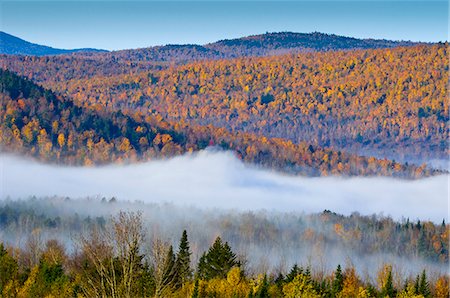 Autumnal foliage, New Hampshire, New England, United States of America, North America Stock Photo - Rights-Managed, Code: 841-06344209