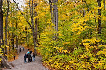 Franconia Notch State Park, New Hampshire, New England, United States of America, North America Stock Photo - Rights-Managed, Code: 841-06344217