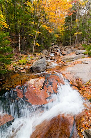 simsearch:633-08482085,k - Franconia Notch State Park, New Hampshire, New England, United States of America, North America Foto de stock - Con derechos protegidos, Código: 841-06344218