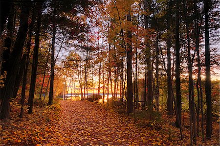 Lake Millinocket at sunrise, Baxter State Park, Maine, New England, United States of America, North America Stock Photo - Rights-Managed, Code: 841-06344224